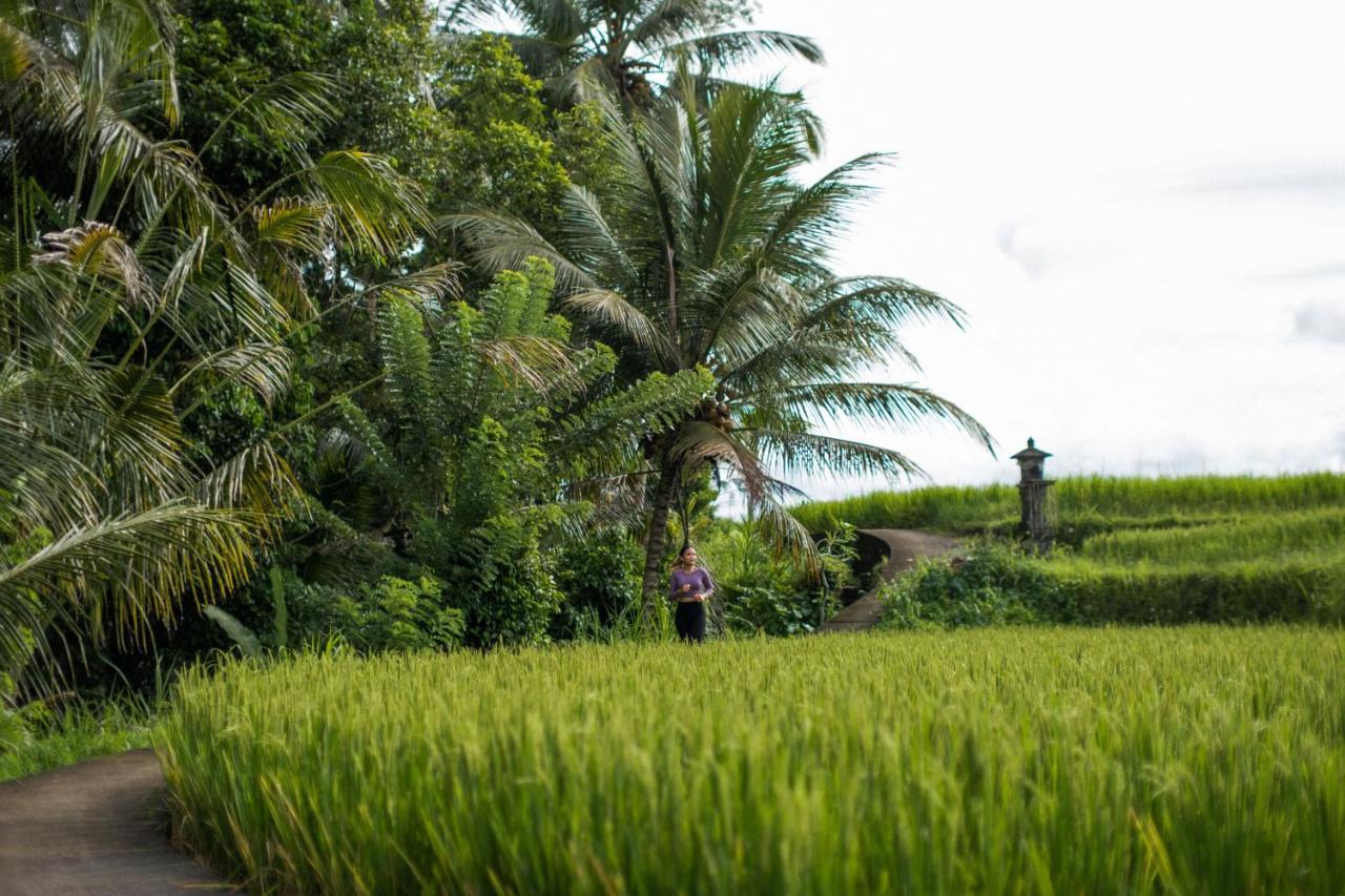 Hideaway Village Bali Ubud By Kanaan Hospitality Ngoại thất bức ảnh